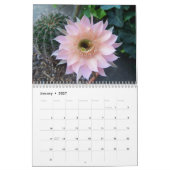Kakteen 2025 kalender (Jan 2027)