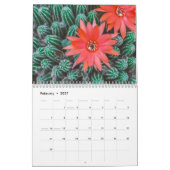 Kakteen 2025 kalender (Feb 2027)