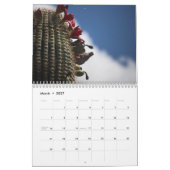Kakteen 2025 kalender (Mär 2027)