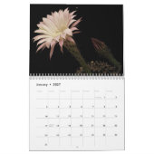 Kakteen 2025 kalender (Jan 2027)