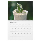 Kakteen 2025 kalender (Feb 2027)