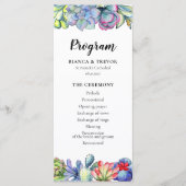 Kakteen, Aquarell Programm (Vorderseite)