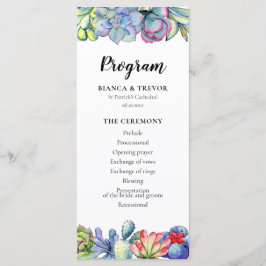 Kakteen, Aquarell Programm