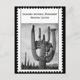 Kakteen Arizona Postkarte
