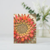 Kakteen Blume 016a Postkarte (Stehend Vorderseite)