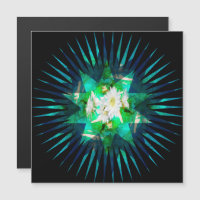 Kakteen-Blume Kaleidoskop-Effekt,