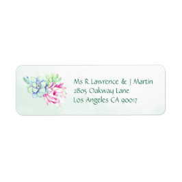 Kakteen Blume & Sukkulenten