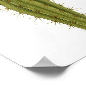 Kakteen — Dauer Poster (Ecke)