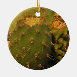 Kakteen-Detail-Fotografie-Kreis-Ornament Keramikornament
