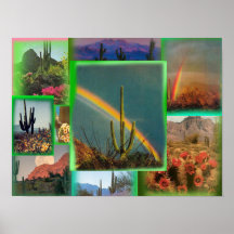Kakteen-Filmcollage-Plakat