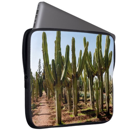 Kakteen Garten. Grüne große Kakteen und Sukkulture Laptopschutzhülle (Vorne Rechts)
