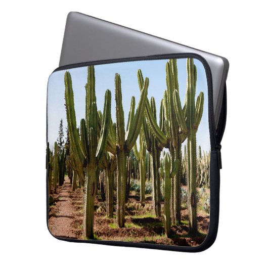 Kakteen Garten. Grüne große Kakteen und Sukkulture Laptopschutzhülle (Vorderseite Links)