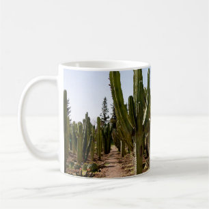 Kakteen Garten, tropische Wüstenlandschaft. Kaffeetasse