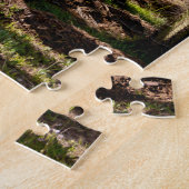 Kakteen Garten, tropische Wüstenlandschaft. Puzzle (Seite)