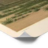 Kakteen Grove, Arizona Poster (Ecke)