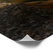 Kakteen im Morgenlicht Poster (Ecke)