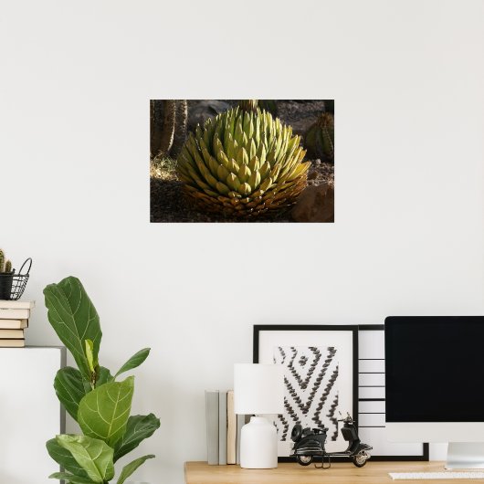 Kakteen im Morgenlicht Poster (Heimbüro)