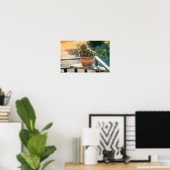 Kakteen im Sonnenlicht Poster (Heimbüro)