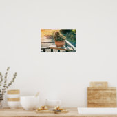 Kakteen im Sonnenlicht Poster (Küche)