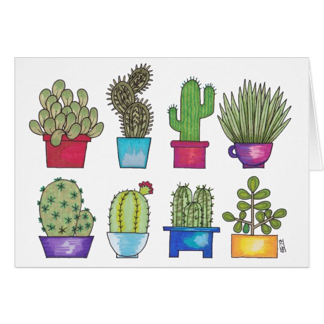 Kakteen in den Töpfen (Vorderseite (Horizontal))