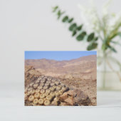 Kakteen in der Atacama-Wüste, Chile Postkarte (Stehend Vorderseite)