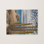 Kakteen in der Wüste Landschaftlich Puzzle (Horizontal)