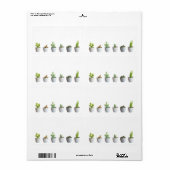 Kakteen in Töpfen (Vorne)