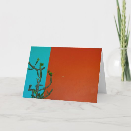 Kakteen Karte (Vorderseite)