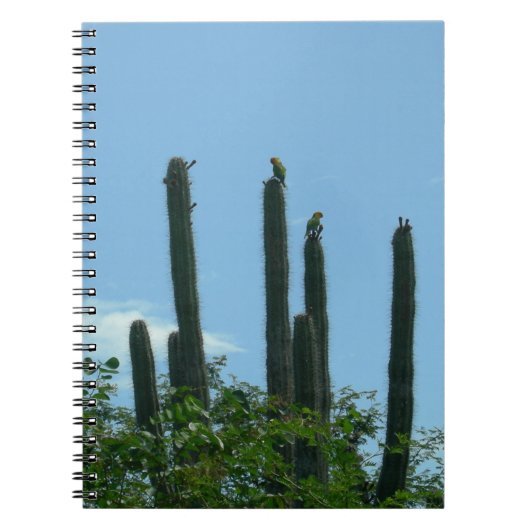 Kakteen mit Lorikeets Bonaire Notebook Notizblock (Vorderseite)