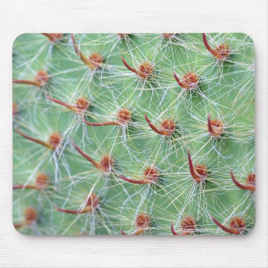 Kakteen Mousepad (Vorne)