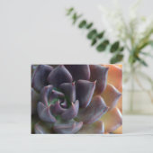 Kakteen Nah hoch Postkarte (Stehend Vorderseite)