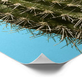 Kakteen, nah-up poster (Ecke)