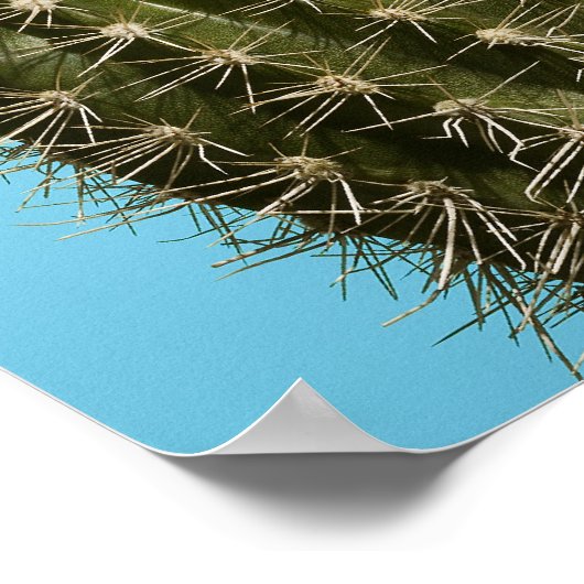 Kakteen, nah-up poster (Ecke)