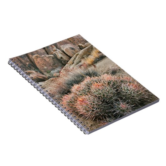 Kakteen Notizblock (Rechte Seite)