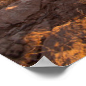 Kakteen pectus (Opuntia Sp.) Poster (Ecke)