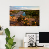 Kakteen pectus (Opuntia Sp.) Poster (Heimbüro)