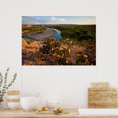 Kakteen pectus (Opuntia Sp.) Poster (Küche)