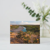 Kakteen pectus (Opuntia Sp.) Postkarte (Stehend Vorderseite)
