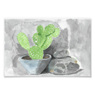 Kakteen Planter Fotodruck