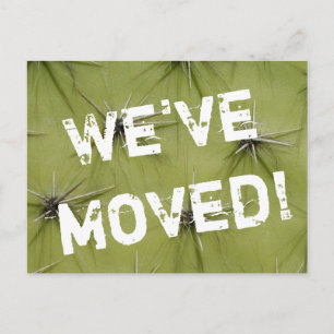 Kakteen Prickley, bewegte Postkarten