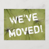 Kakteen Prickley, bewegte Postkarten (Vorderseite)