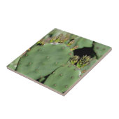 Kakteen-Prickly Fliese (Seite)