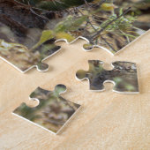 Kakteen Puzzle (Seite)