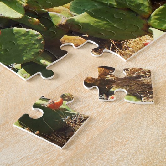 Kakteen Puzzle (Seite)