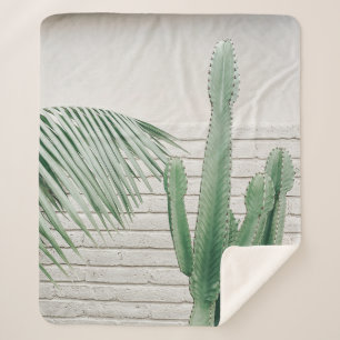 Kakteen Sherpadecke