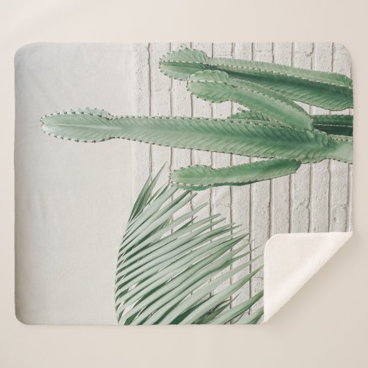 Kakteen Sherpadecke (Vorderseite (Horizontal))