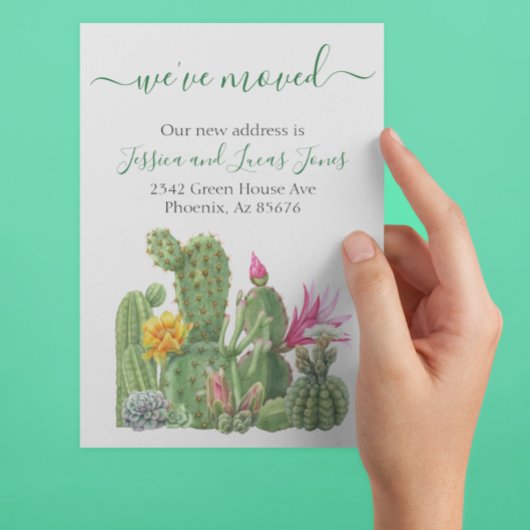 Kakteen sukkulent blühend ankündigung