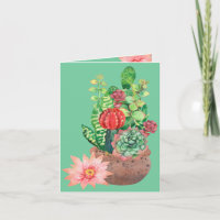 Kakteen, Sukkulente, Kakteen-Blume, Anordnung