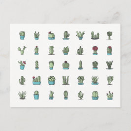Kakteen Sukkulenten Pflanze Handgezeichnete botani Postkarte