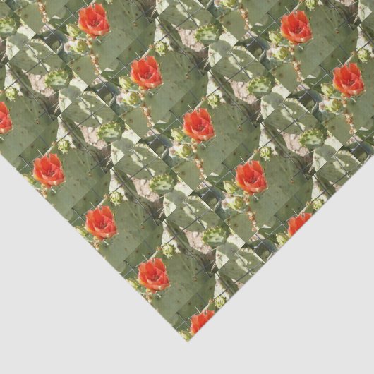 Kakteen Tough and Beautiful Geschenkpapier Seidenpapier (Ausschnitt)